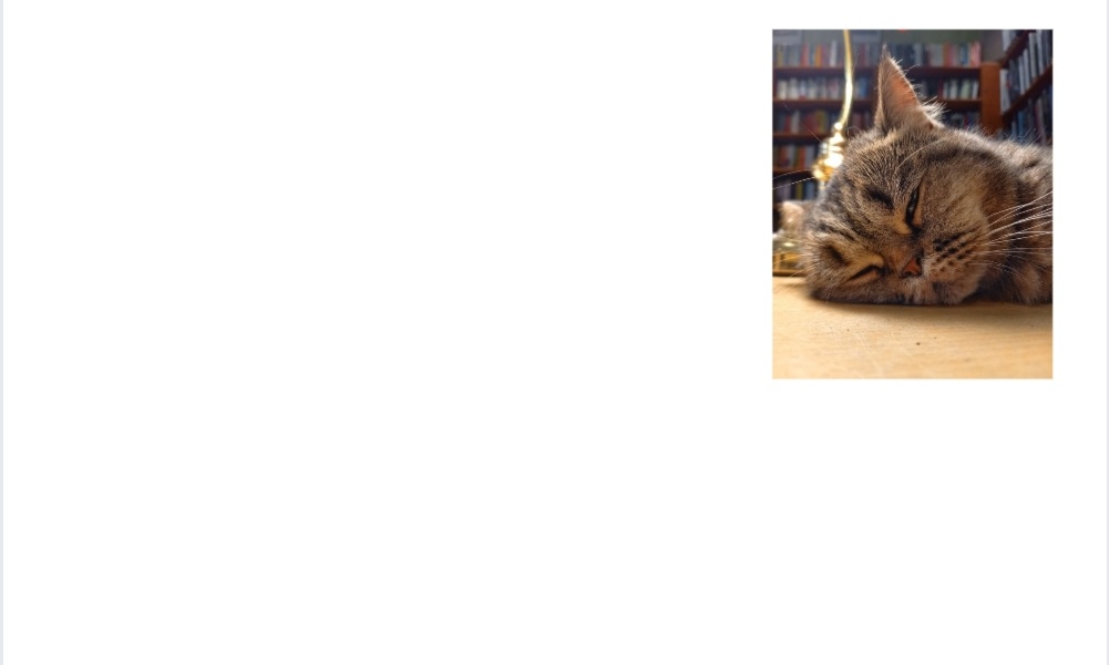 Medieninhalt - Feld 1